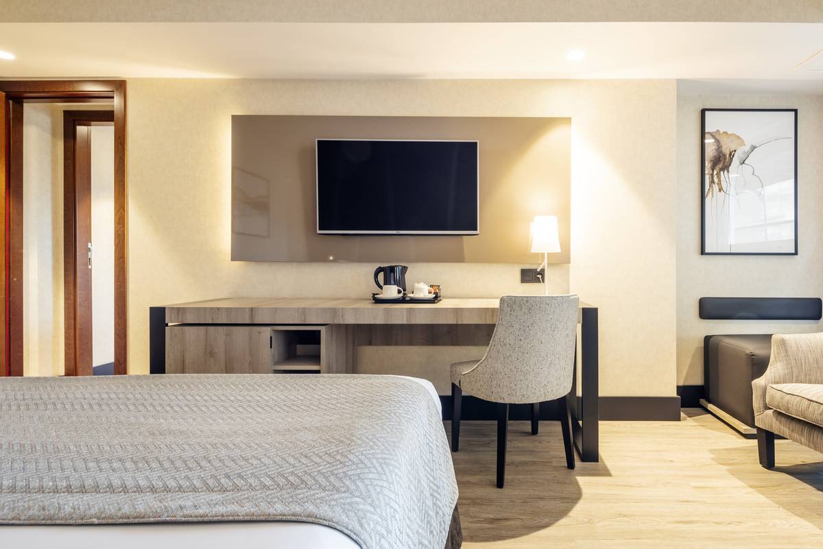 Standard room Hotel ILUNION Málaga
